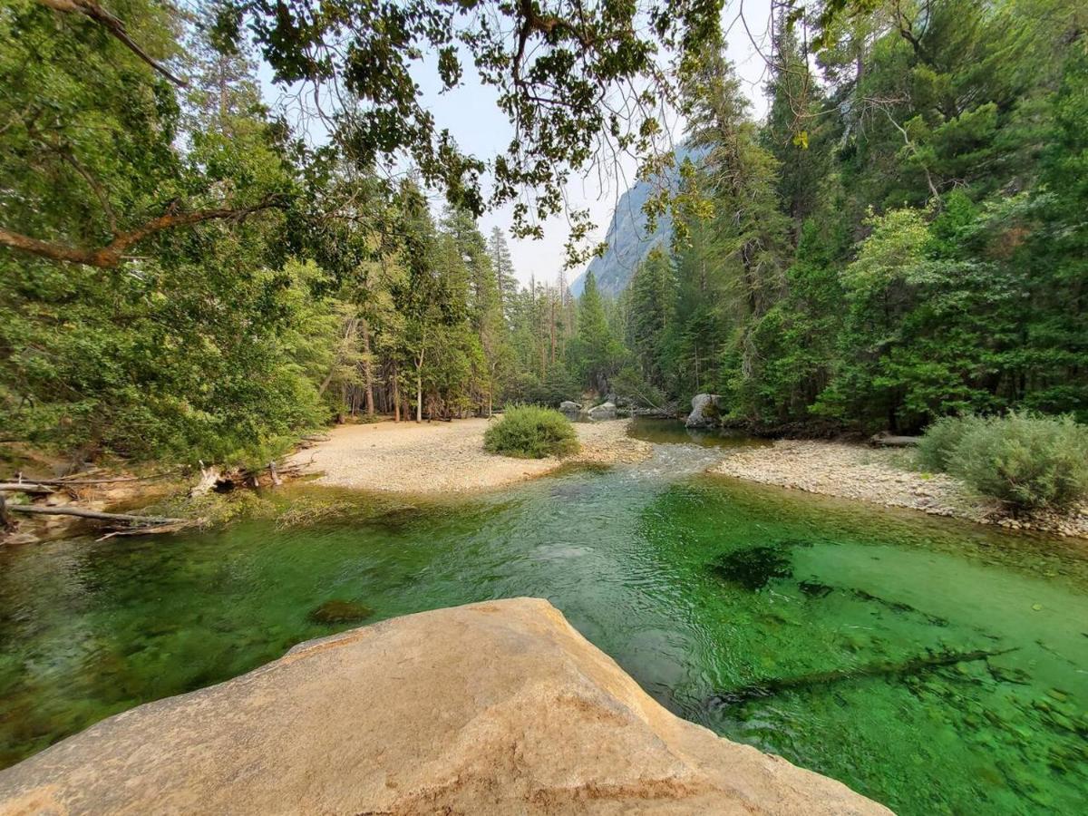 Sequoia Glen Wilsonia