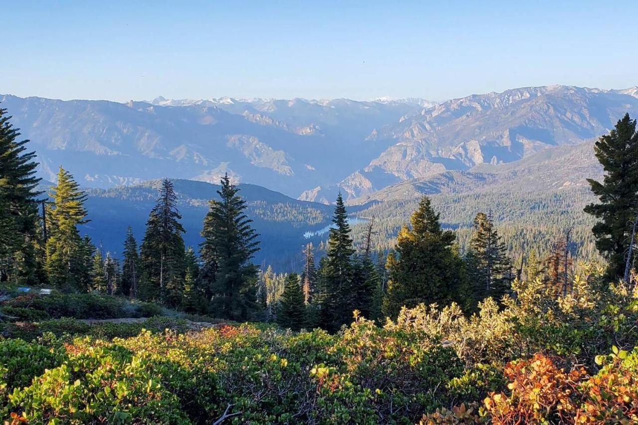 Sequoia Glen *