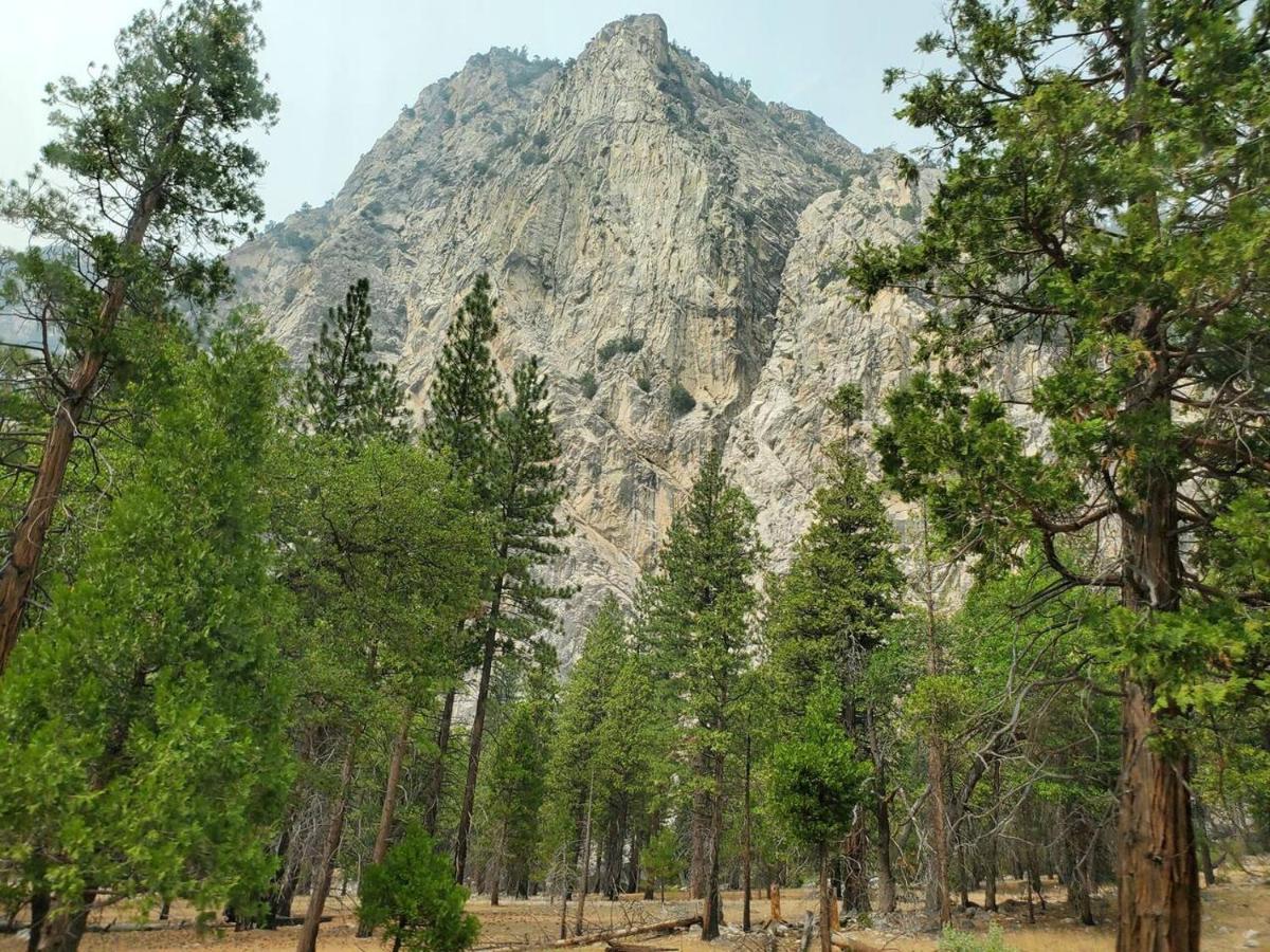 Casa de Férias Sequoia Glen Wilsonia